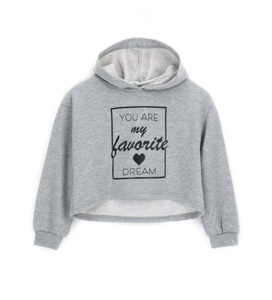 CROP HOODIE