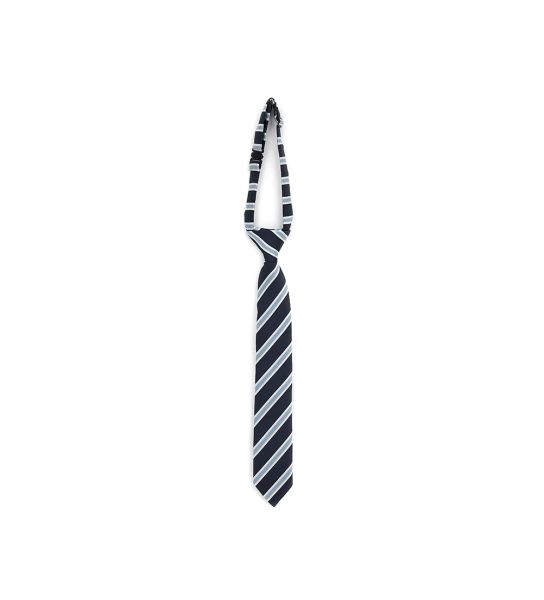STRIPED TIE