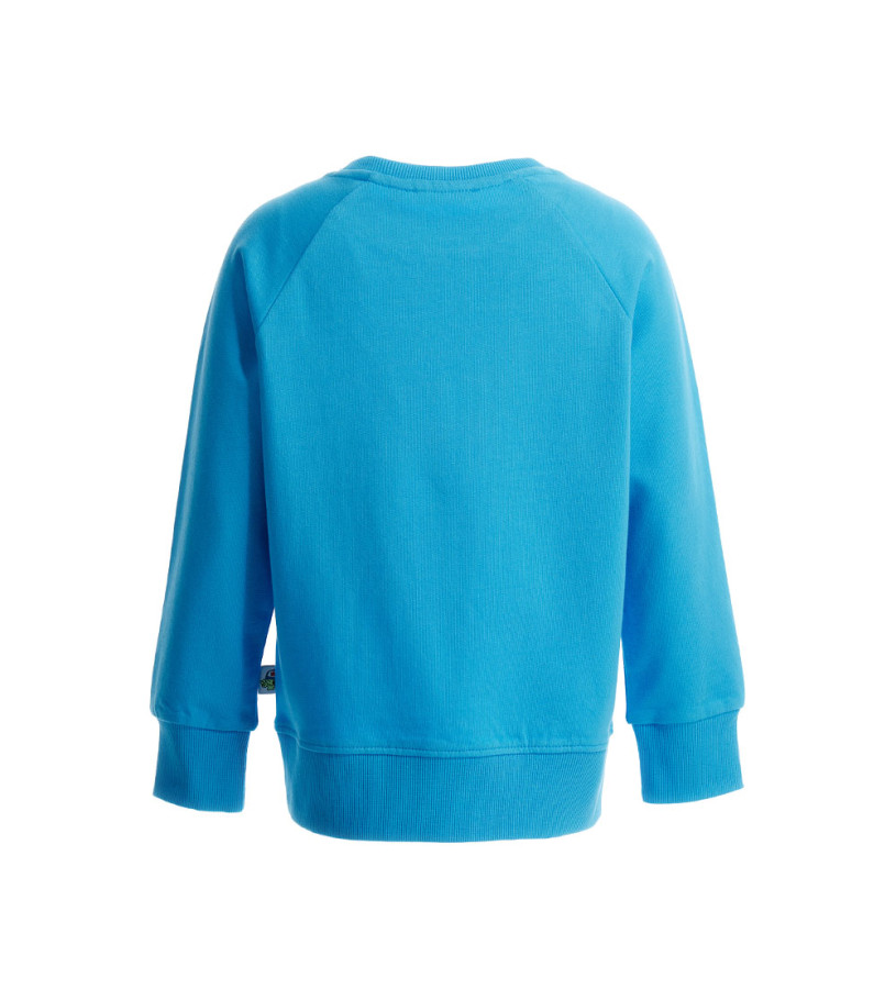 Boy - Sweatshirt with application